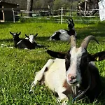 Kloeckhof Farm stay Aich (Styria)