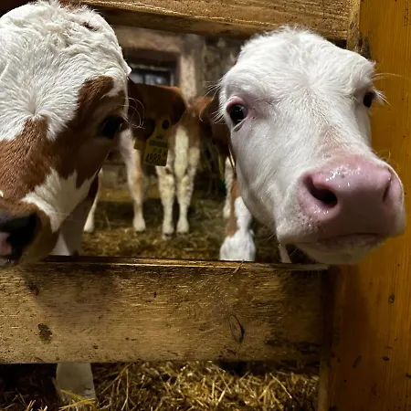Farmház Kloeckhof *