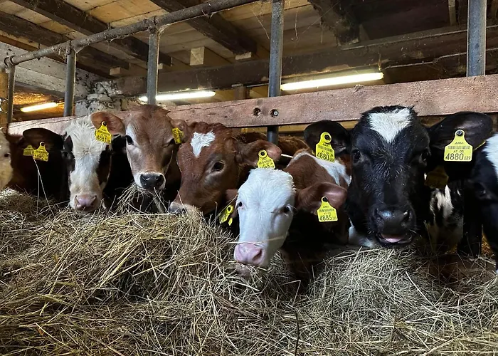 Farma Kloeckhof Aich (Styria)