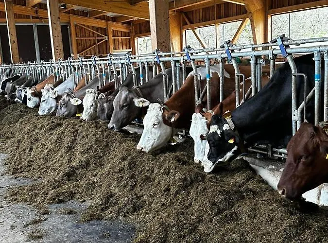 Kloeckhof Aich (Styria)